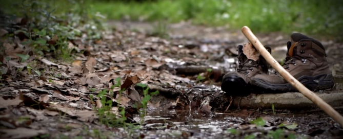 Espiritualidad y naturaleza.