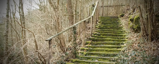 Espiritualidad y naturaleza