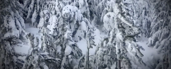 Espiritualitat i natura.